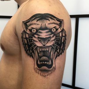 blackwork/whip shaded tiger