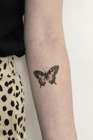 - Butterfly - done @zimmer3_atelier Using @sunskintattoo @pantheraink @kwadron @hustlebutterdeluxe #singleneedle #slimneedle #finelinetattoo #blackandgrey #smalltattoo #butterfly #butterflytattoo #tattoo #illustration #tattooist #tattoo #ink #inked #tattoocollector #realistictattoo #animals #inkedgirls #smalltattoo