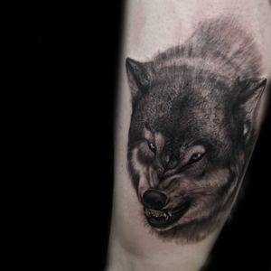 °Wolf° . . . #wolf #tattoo #realistic #blackandgrey #animal #spain #españa #tenerife #tattooed #tattooartist #tattooist #tattooer #ink #inked 