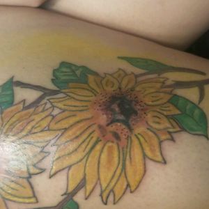 Another session on sunflowers completed. One more session and will be 💯