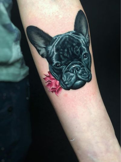 Tattoo by Megan Massacre - For The Kids: Flash Tattoo Fundraiser at Grit N Glory #GritNGlory #ForTheKids #PuertoRico #FlashTattoo #FlashEvent #fundraiser #MeganMassacre #forearm #pug #dog