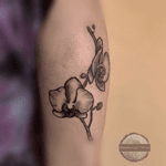 Orchids tattoo - #tattoo #tattooartist #blackandgrey #linework #Black #blackink #ink #dotwork #dotworktattoo #blackwork #geometric #worldfamousink #artist #art #arte #lineart #orchid 