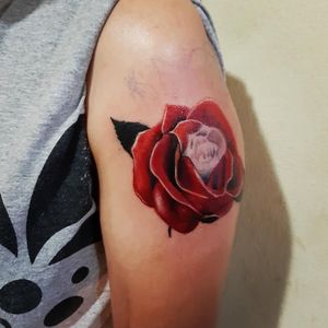 Color rose in progress 