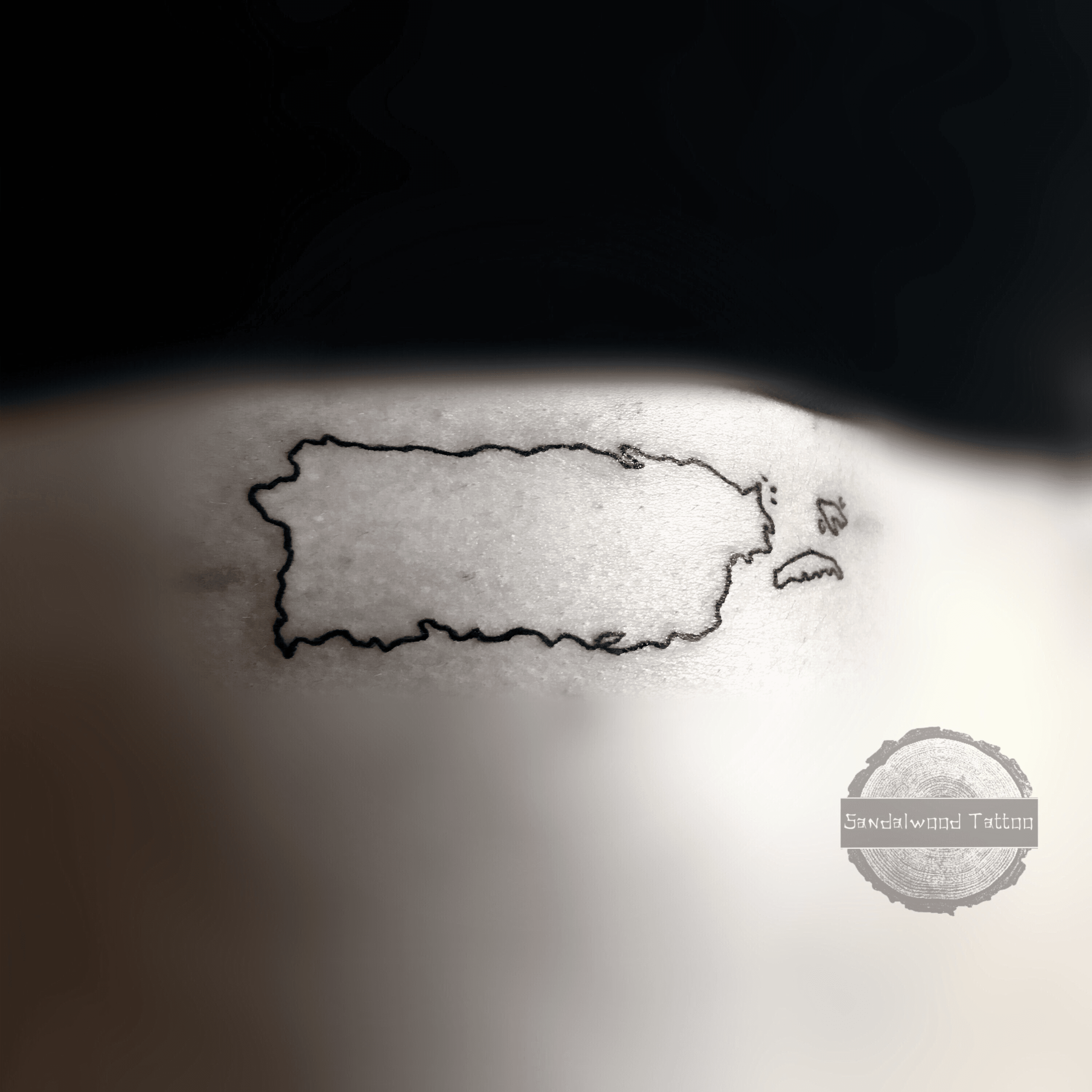 Puerto Rico Map Tattoo  Map tattoos Half sleeve tattoos for guys Saved  tattoo