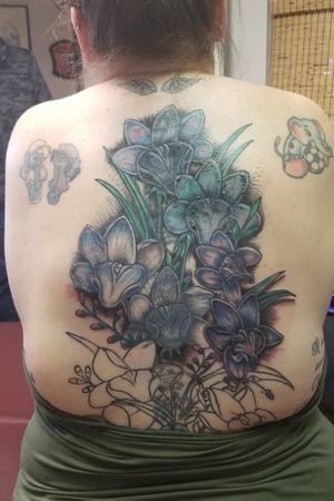 Smurfs, elephant, wings, and orchids cover up