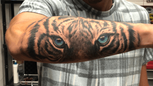 Eyes of a tiger. 