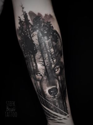 Wolf in black and greyLlop en black and greyLobo en black and greyLoup dans black and grey