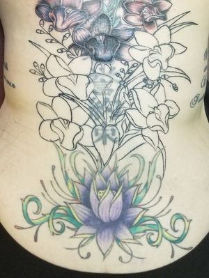Blossoming lotus flowers with the rest of the orchids cover up