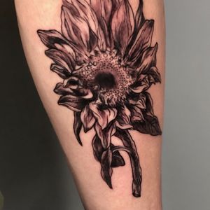 #sunflower #flower #blackandgrey #illustrative #realism #crone_tattoos #indianapolis