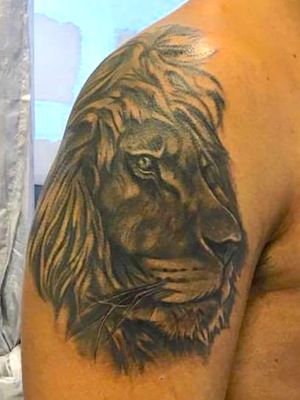 Black and grey lion