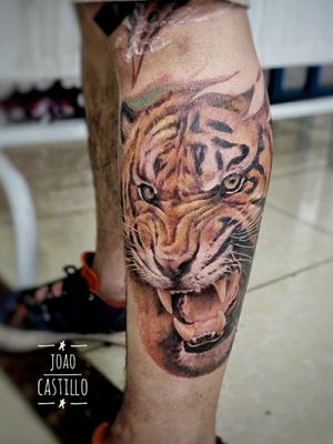 Tiger Tattoo Realistic Tattoo Color 