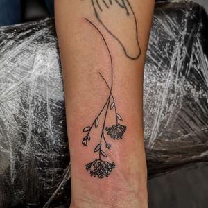 Some fine line work. It's one of the hardest things to tattoo. #flowertattoo #fineline #leaves #leaf #blackandgrey #blackandgreytattoos #delicate #delicatetattoos #simpletattoo 