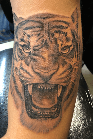 Tiger on his right arm