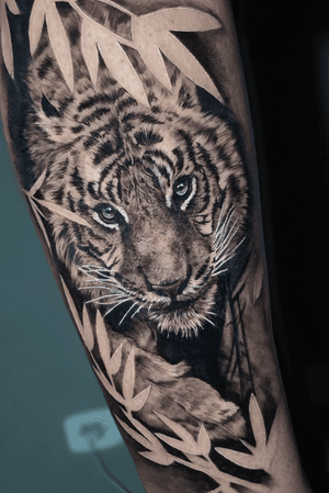#tiger #blackAndgray #black_and_grey #realism #animal #tigertattoo #lion         Follow @mozart.tattoos