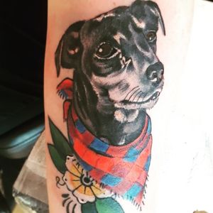 Dog Portrait Tattoo#Dog #DogPortrait #DogTattoo #PetTattoo #PetPortrait 