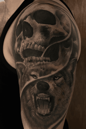 Skull and wolf
