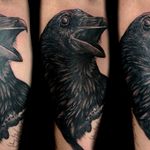 Three-eyed Raven