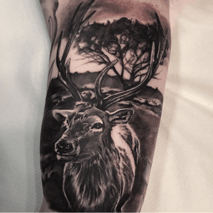 We're staggered by this amazing piece that Danny (@dannyrealistictattooing) did recently 🦌🌳