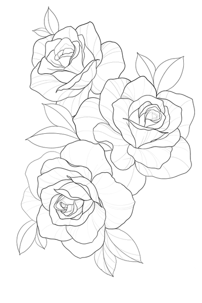 #rose #sketches 