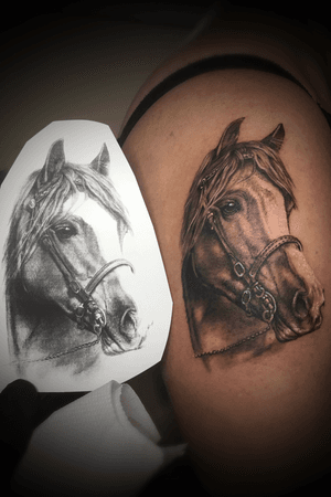 #horse #tattoo #work