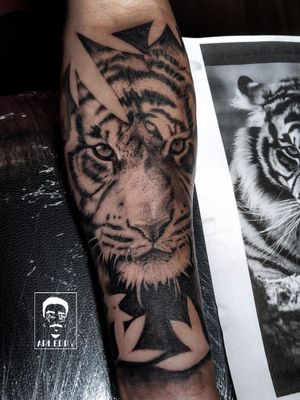 Realistic tiger black and Grey 