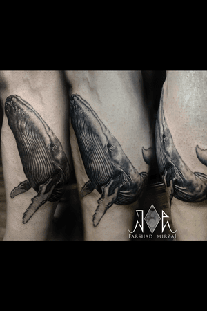 52 hrtz whale                                                 by tattoo artist: farshad mirzai                    Tel: 09394621722                                             location: Tehran,Zaferanie              Instagram: @joeart_tattoo          #tehrantattoo #irantattoo 