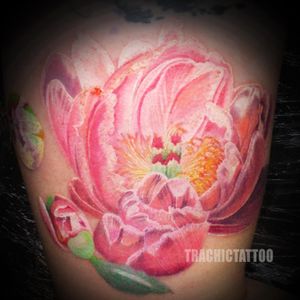 #Trachic Tattoo : Private tattoo studio in Brussels.#colorful tattoo #best color tattoo #flower tattoo #realistic tattoo