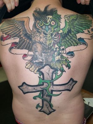 Owl is a cover cross is fixed and this is 1 year healed