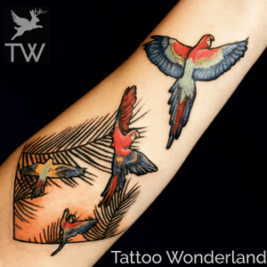 #parrottattoo #macaw @sandydexterous @tattoowonderland #youbelongattattoowonderland #tattoowonderland #brooklyn #brooklyntattooshop #bensonhurst #midwood #gravesend #newyork #newyorkcity #nyc #tattooshop #tattoostudio #tattooparlor #tattooparlour #customtattoo #brooklyntattooartist #tattoo #tattoos 