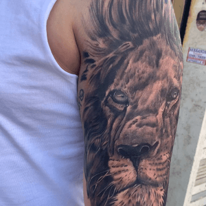 Lion blackandgrayrealistic