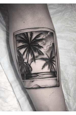 Palm tree tattoo #palm #tattoo #tattoos #palmtattoo #blackandgrey