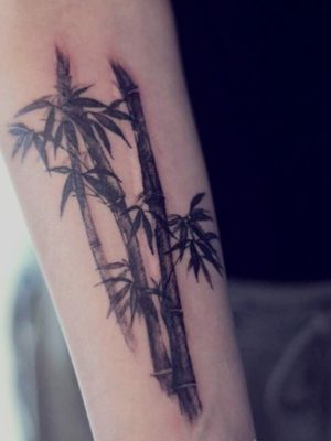 My tattoits a bamboo not palm XD