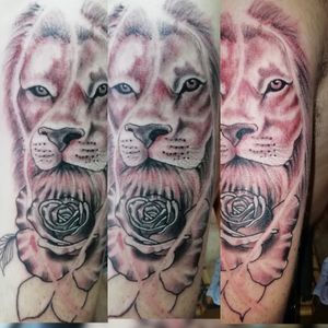 Lion tattoo on a bicep 