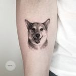 Dog tattoo by Goldy Z #GoldyZ #forearm #arm #realism #realistic #blackandgrey #dogtattoos #dog #dogs #petportrait #animal #bff #pet #canine