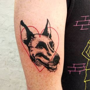 Dog tattoo by Lee aka rat666tat #rat666tat #illustrative #upperarm #arm #heart #doberman #dogtattoos #dog #dogs #petportrait #animal #bff #pet #canine