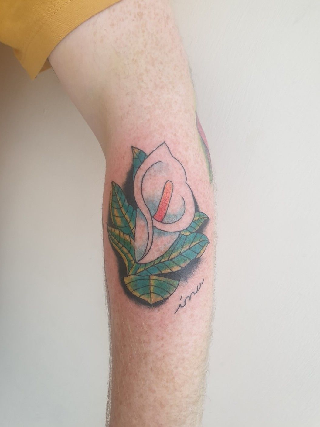Sean Gilbert Tattoos  Have a beautiful day Pretty Easter lily to start  off this floral bouquet project No edit No filter Tattooed with  truehealtattoocare tattoo salve and aftercare zimitartattoo tattoo  cartridges 