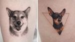 Dog tattoo on the left by Goldy Z and Dog tattoo on the right by Sol Tattoo #SolTattoo #GoldyZ #dogtattoos #dog #dogs #petportrait #animal #bff #pet #canine
