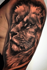 Lion #tattoo #liontattoo