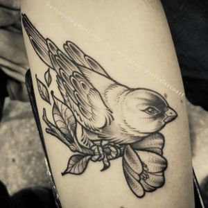 #Bird tattoo by Jef#blacklinework