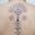 Torse