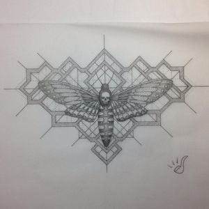 Diseño de polilla con geometría. Moth with geometry design. 
