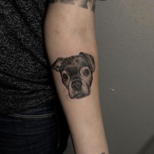#Dog #portrait tattoo by Monikka#blackandgreytattoo 