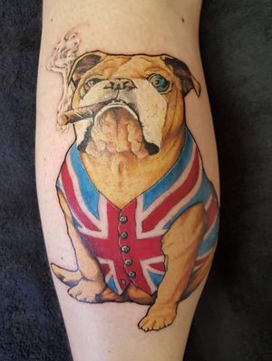 #bulldog #british 