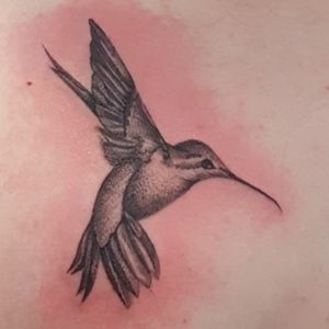 #kolibri #dotwork 