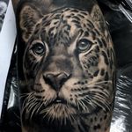 Jaguar by Jorge 