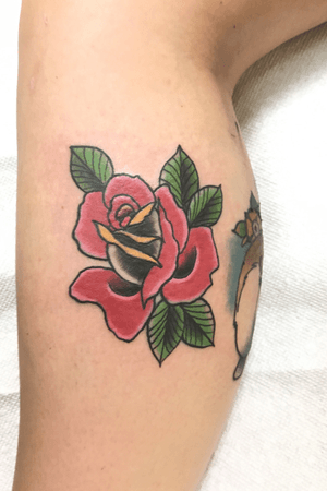 Rose from today!