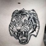 #Tiger tattoo by Jef #blacklinework 