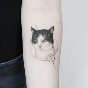Cat tattoo #caatlove #cat #cattatoo #blackandgreytattoo 