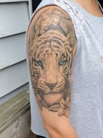 Healed white tiger #tigertattoo #blackandgrey 