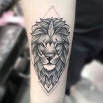 Lion by Ema 